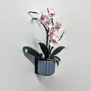 May include: A white orchid with pink accents in a blue planter. The orchid is mounted on a white wall.