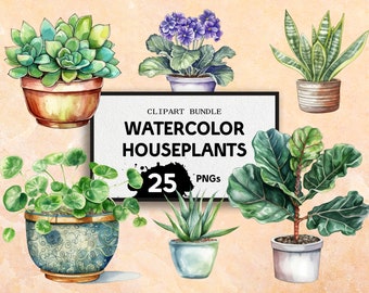 Potted Houseplants Clipart, Watercolor Style, Aloe Vera, Succulents, Snake, Lilies, Transparent PNGs, Commercial Rights