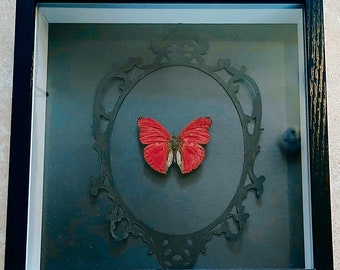 Blood-red Glider REAL Cymothoe Sangaris Butterfly - Etsy