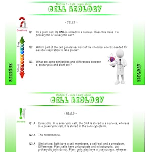 GCSE Science Chemistry  FlashCards -  Revision Material - Official AQA