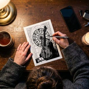 May include: A black and white ink illustration on paper featuring a violin positioned in front of a large circular spider web window. The artwork displays intricate line work and high-contrast shading, depicting the instrument and architectural details.