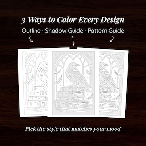 May include: Three coloring pages featuring a raven perched on a stack of books with an arched background. Text reads: 3 Ways to Color Every Design, Outline, Shadow Guide, Pattern Guide, and Pick the style that matches your mood.
