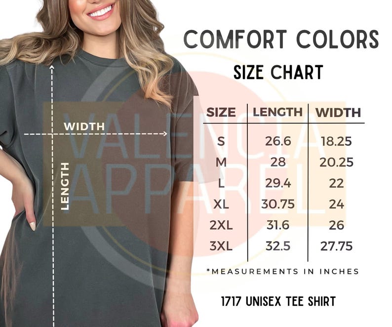 Comfort Colors® Mickey and Friends 4th July 2026 Shirt, Disney Independence Day Tee, Disneyland Family, Walt Disney World T-shirt image 6