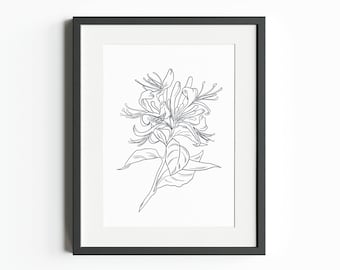 June Birth Month Flower (Honeysuckle) – INSTANT DIGITAL DOWNLOAD, Birth Flower Line Art Print, Botanical Clipart, June Honeysuckle png,