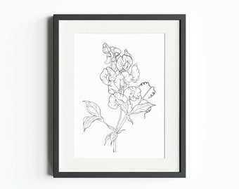 April Birth Month Flower (Sweet Pea) – INSTANT DIGITAL DOWNLOAD, Birth Flower Line Art Print, Botanical Clipart, April Sweet Pea png,