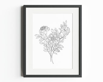 October Birth Month Flower (Marigold) – INSTANT DIGITAL DOWNLOAD, Birth Flower Line Art Print, Botanical Clipart, October Marigold png,