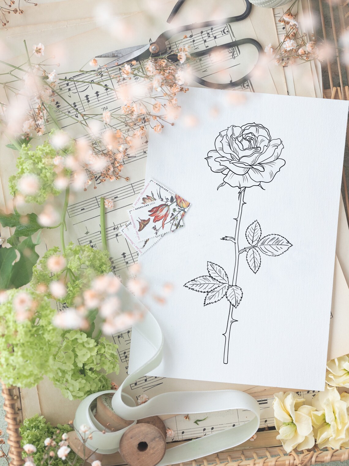 June Birth Month Flower rose INSTANT DIGITAL DOWNLOAD, Birth Flower ...