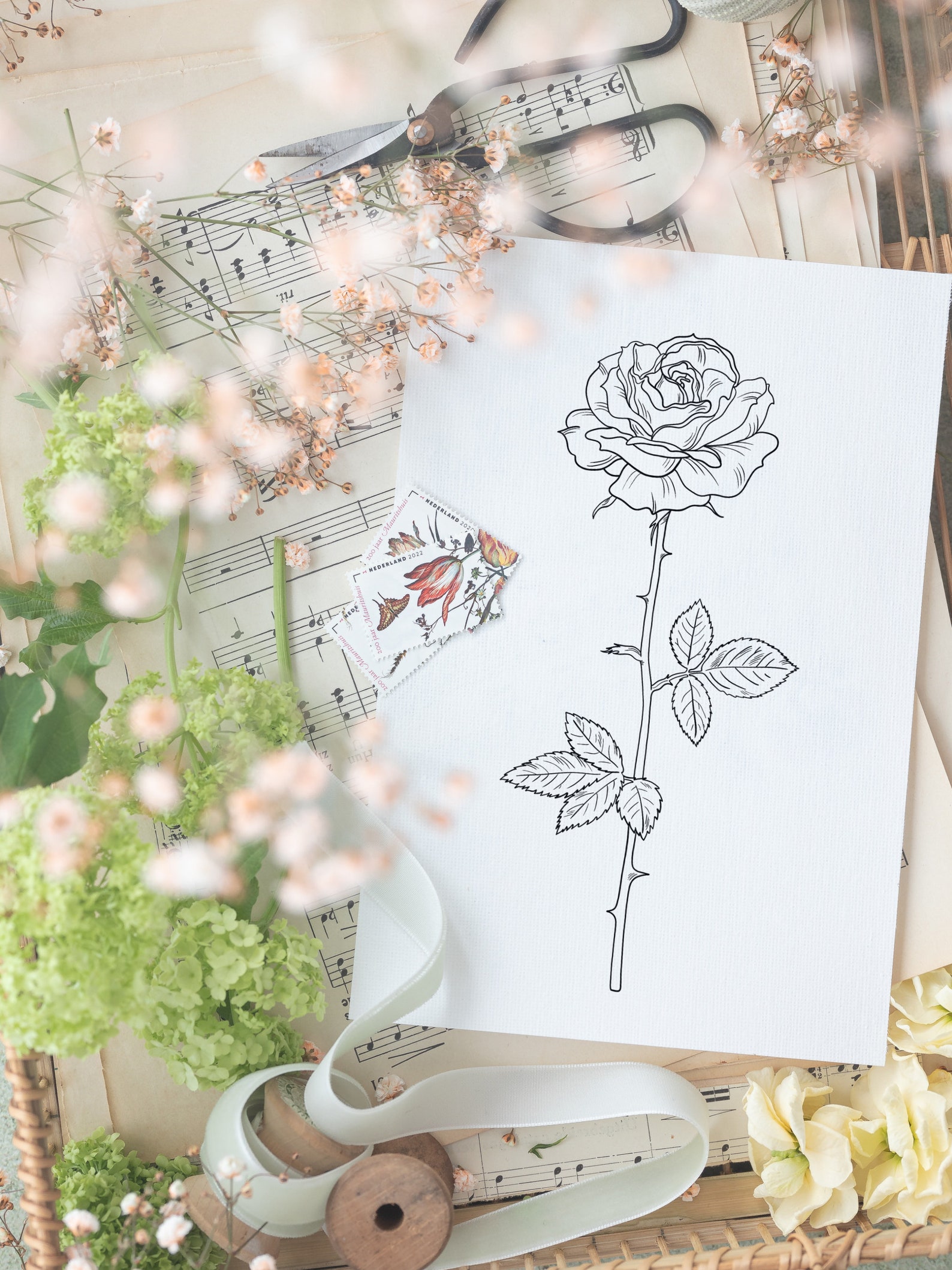 June Birth Month Flower (rose) – INSTANT DIGITAL DOWNLOAD, Birth Flower ...