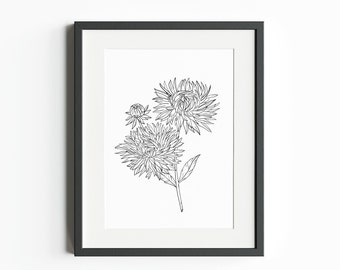 September födelsemånadsblomma (Aster) – DIREKT DIGITAL NEDLADDNING, Födelseblomma linjekonsttryck, Botanisk Clipart, September Aster png,