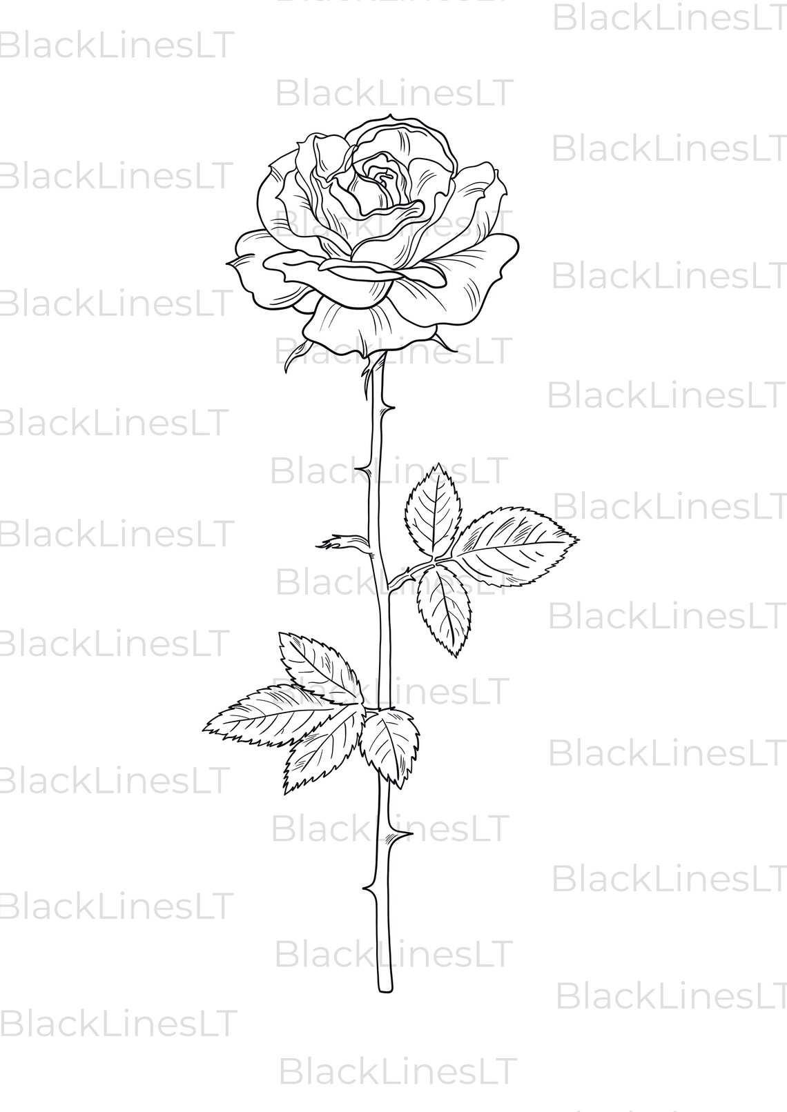 June Birth Month Flower rose INSTANT DIGITAL DOWNLOAD, Birth Flower ...