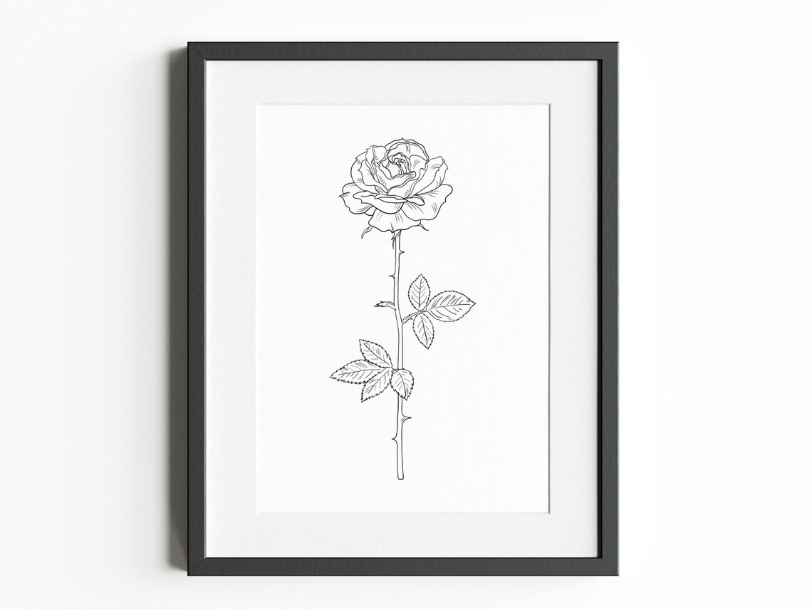 June Birth Month Flower rose INSTANT DIGITAL DOWNLOAD, Birth Flower ...