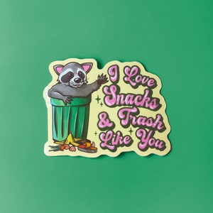 Funny Raccoon Sticker, I Love Trash Retro Raccoon Vinyl Sticker with Pink Ink for Water Bottle, Tumbler, Laptop, Notebook or Planner