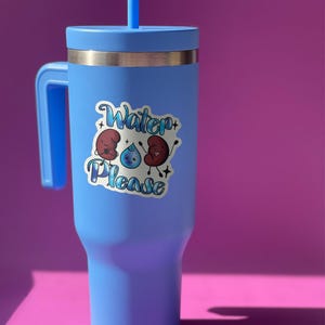 Stay Hydrated, Drink Water Vinyl Water Bottle Sticker Cute Kawaii Kidneys, Laptop Sticker, Helmet Sticker, Waterproof UV Vinyl Sticker