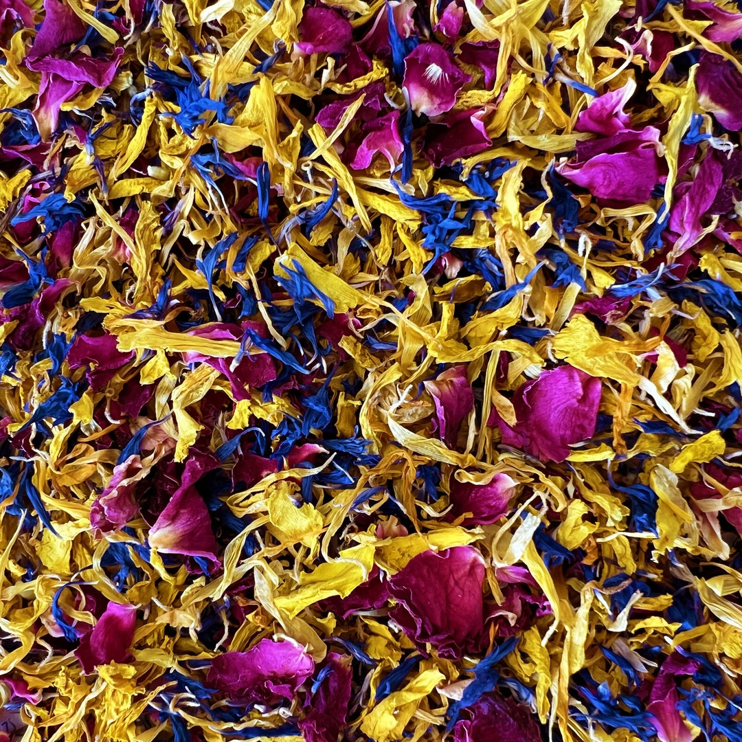 Trockenblumen Set 10 Sorten - Natürliche Blüten Für DIY & Deko