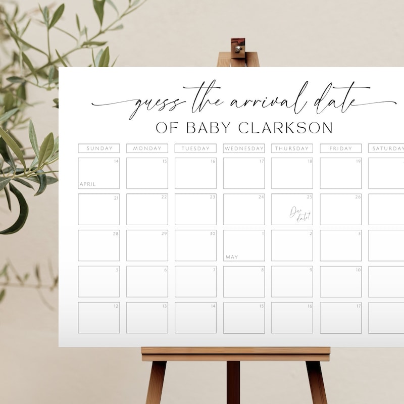 Baby Betting Pool Template Etsy