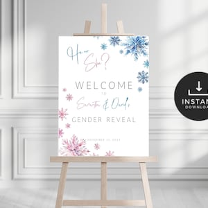 Welcome Board for Gender Reveal. Pink and Blue Snowflake Welcome Sign. Couples Co-ed Baby Shower. Winter Gender Reveal Party Poster. GR05