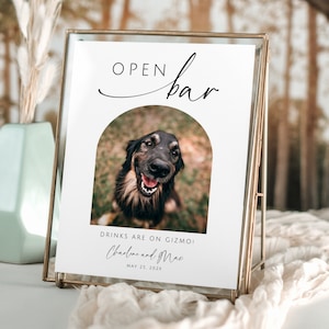 May include: A decorative sign in a gold frame, featuring the words "OPEN bar" in cursive. An image of a happy dog is in the centre. The text "DRINKS ARE ON GIZMO!" and names are also included.