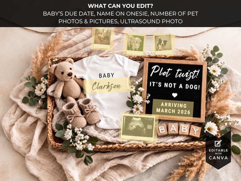 Pu&ograve; includere: Annuncio di nascita con un body bianco, scarpine e un orsacchiotto in un cestino di vimini. L'annuncio include il testo "Plot twist! It's not a dog! Arriving March 2026" e il nome del bambino.