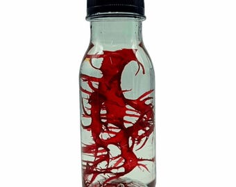 Macroalghe rosse vive per acquari marini. Spedizione gratuita in Europa. Coralli. Rifugio. Acquario di barriera. Alga Halymenia Dragon Tongue.