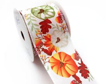 Pumpkin Mix Wired Edge Ribbon 2.5" x 10 Yard WR 63-5240 Fall Harvest Ribbon