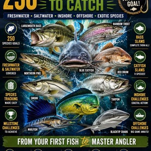 Puede incluir: Un póster titulado 250 Fish Species to Catch con ilustraciones de lubina negra, trucha arcoíris, siluro azul, lucio europeo, corvina roja, robalo, sábalo, pez vela y tiburón de puntas negras, junto con varios textos informativos y objetivos.
