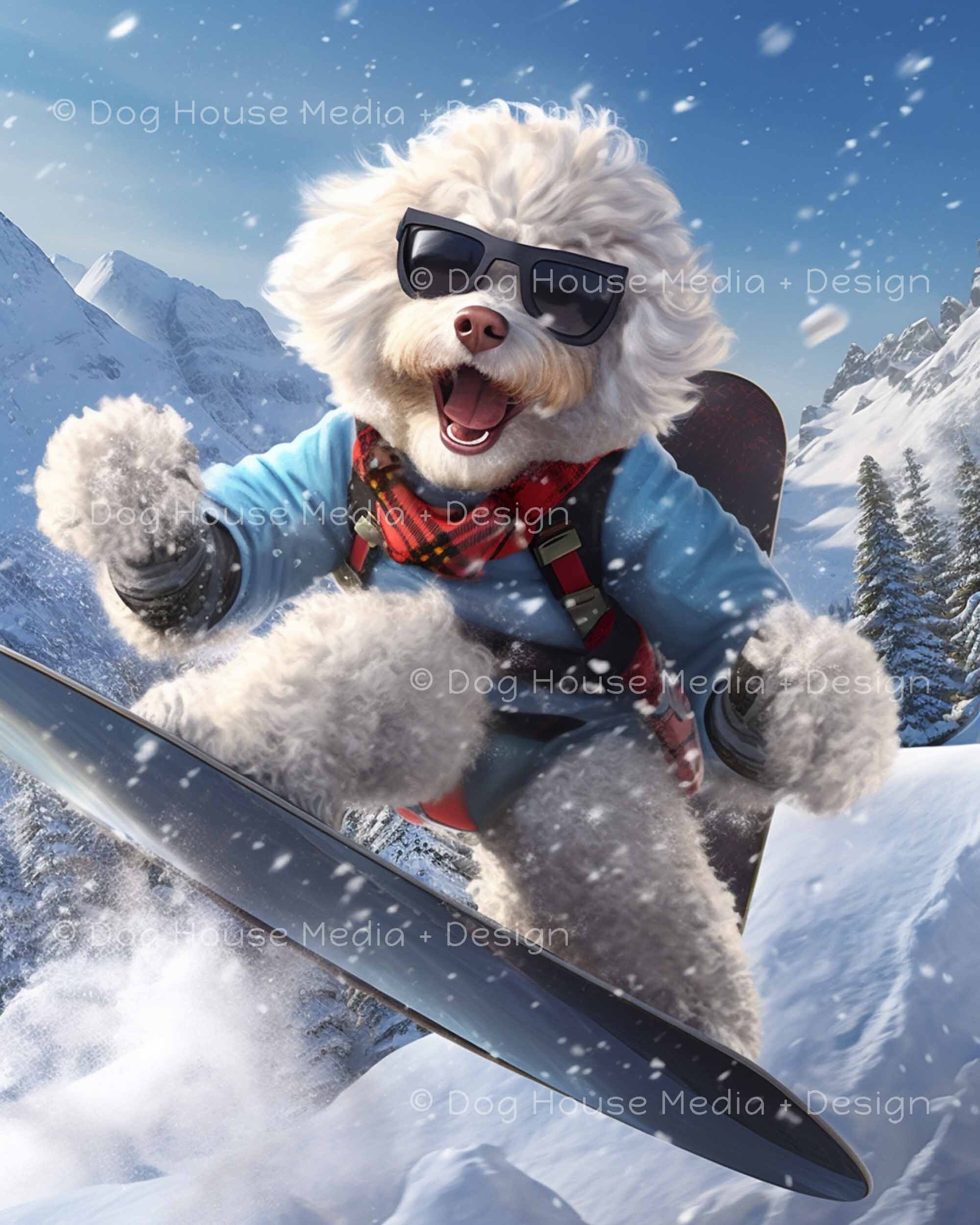 Poodle Snowboarding Art Print: Teen Boy Room Decor (digital