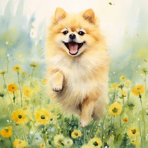 Decoración de pared de Pomerania, arte amante de los perros, impresión de amante de las flores, impresión colorida del perro, decoración alegre de la habitación, impresión de la naturaleza del perro imprimible del arte de la pared feliz