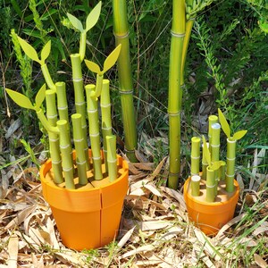 Peut inclure: Deux pots de fleurs oranges remplis de tiges de bambou vertes et de feuilles jaunes. Les pots sont pos&eacute;s dans un lit de feuilles s&egrave;ches et entour&eacute;s de feuillage vert et de tiges de bambou.