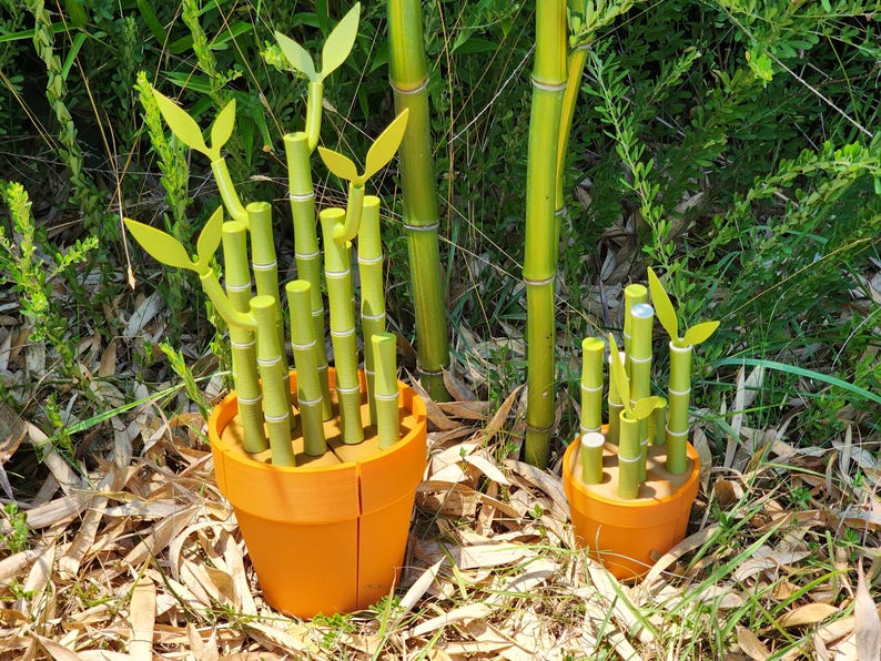 Peut inclure: Deux pots de fleurs oranges remplis de tiges de bambou vertes et de feuilles jaunes. Les pots sont pos&eacute;s dans un lit de feuilles s&egrave;ches et entour&eacute;s de feuillage vert et de tiges de bambou.