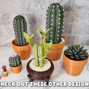 Peut inclure: Diverses plantes artificielles, dont des cactus et des succulentes, dans des pots en terre cuite. Les plantes varient en taille et en forme, avec un grand cactus c&ocirc;tel&eacute;, un petit cactus rond avec une fleur rose et une succulente. Le texte "CHECK OUT THESE OTHER DESIGNS" est visible.