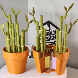 Peut inclure: Deux pots de fleurs oranges contiennent chacun un plant de bambou. Les tiges de bambou sont vertes avec des bandes blanches, et les feuilles sont vert clair. Un pot est coup&eacute;, r&eacute;v&eacute;lant l'int&eacute;rieur. Le fond comprend une enseigne avec "FUNKY DESIGN".