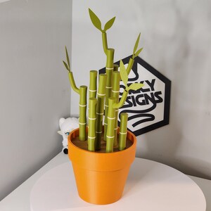 Peut inclure: Un pot orange contient une plante de bambou verte avec des d&eacute;tails blancs. Le bambou a plusieurs tiges et feuilles. Le pot est pos&eacute; sur une surface blanche. Un panneau avec le texte "SXY SIGNS" est en arri&egrave;re-plan.