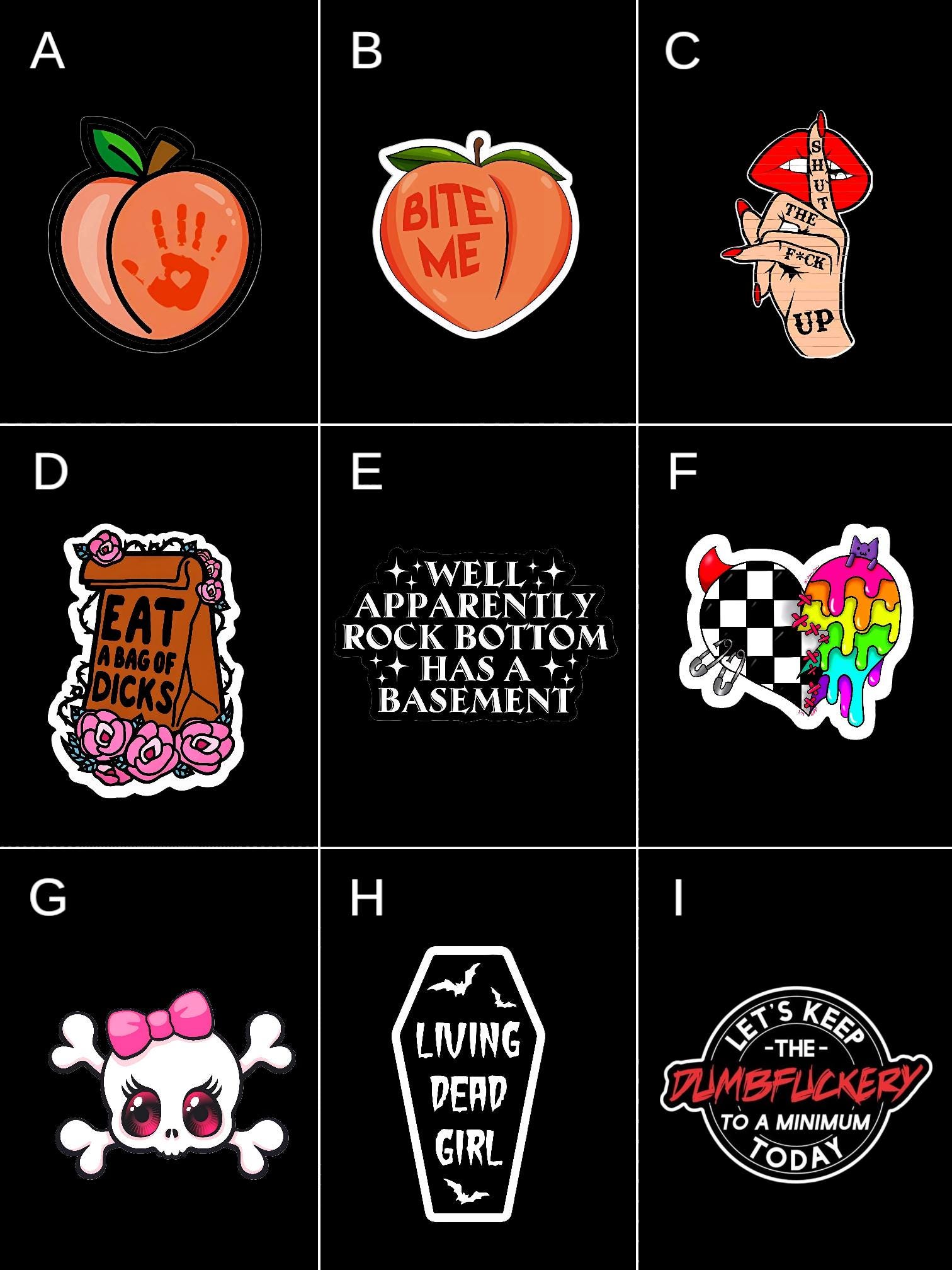 Funny Sarcastic Sticker Pack: Chaotic Humor for the Unhinged - Thumbnail 2