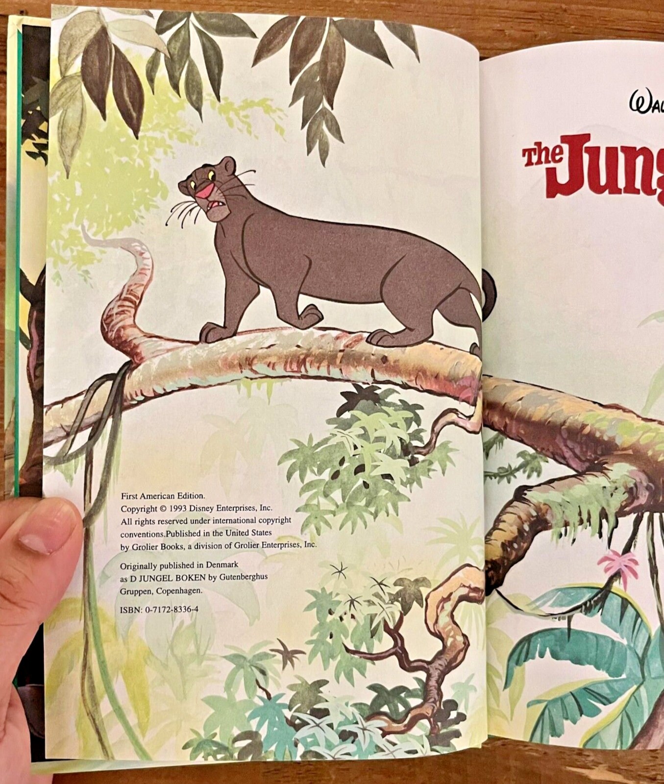 Vintage 1993 the Jungle Book - Etsy