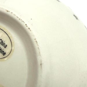 Tazón de cereal Estrella de Anthropologie / Estrellas glaseadas / Celestial / 18 oz / Pasta imagen 7