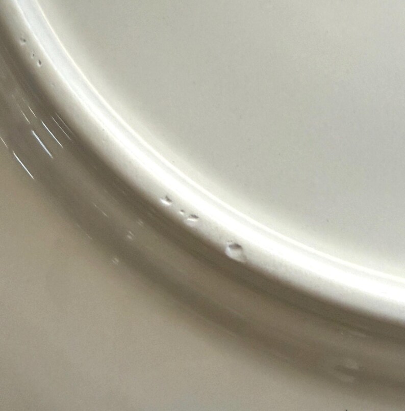 Anthropologie Old Havana Mint Dinner Plate | Crackle Glaze | Portugal | Embossed | 11" image 8