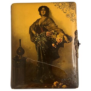Antiek Victoriaans celluloid fotoalbum met messing sluiting | met 24 kastkaarten | Wheaton Illinois | 10" l x 8,25" b x 3" h