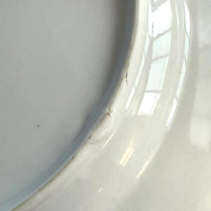 Anthropologie Dinner Plate | Madeleine Marx | Dragonfly | Song Bird | Tail | Glowing Hours | 10" image 7