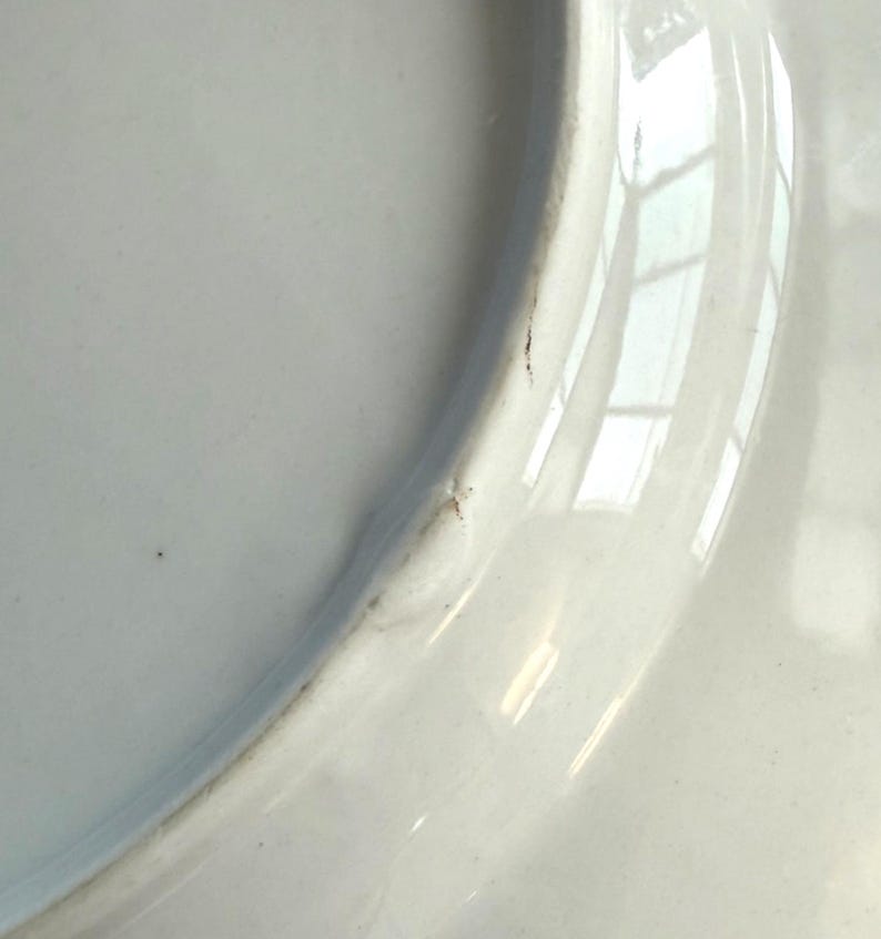 Anthropologie Dinner Plate | Madeleine Marx | Dragonfly | Song Bird | Tail | Glowing Hours | 10" image 7