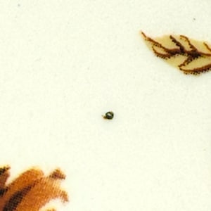 Anthropologie x Inslee Fariss Autumn's Bounty Side Plate | Mushroom | Harvest | Gourd | 8" | READ image 8