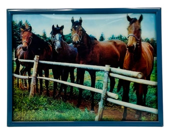 Vintage 3D Framed Picture Photo of Horses at a Fence