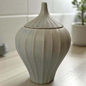 Può includere: Un vaso in ceramica azzurra con coperchio. Il vaso ha un corpo bulboso con dettagli a coste verticali e un coperchio a punta. Il vaso è appoggiato su una superficie di colore chiaro.