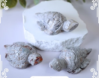 Schildpadsnijwerk van Mexicaanse agaatkant: kristallen dierenhuisdecoratie