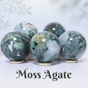 Könnte beinhalten: Fünf polierte Moosachat-Kugeln, jede mit einzigartigen Mustern aus grünen, weißen und klaren Einschlüssen. Die Kugeln werden auf kleinen, runden, beigefarbenen Ständern präsentiert. Der Text "Moss Agate" steht darunter.