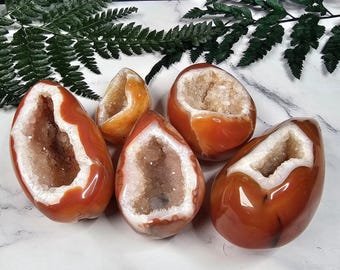 Puede incluir: Cinco geodas de cornalina pulidas con interiores de cristal blanco están dispuestas sobre una superficie de mármol. Las geodas tienen un exterior brillante de color rojo anaranjado. Frondas de helecho verde en el fondo.