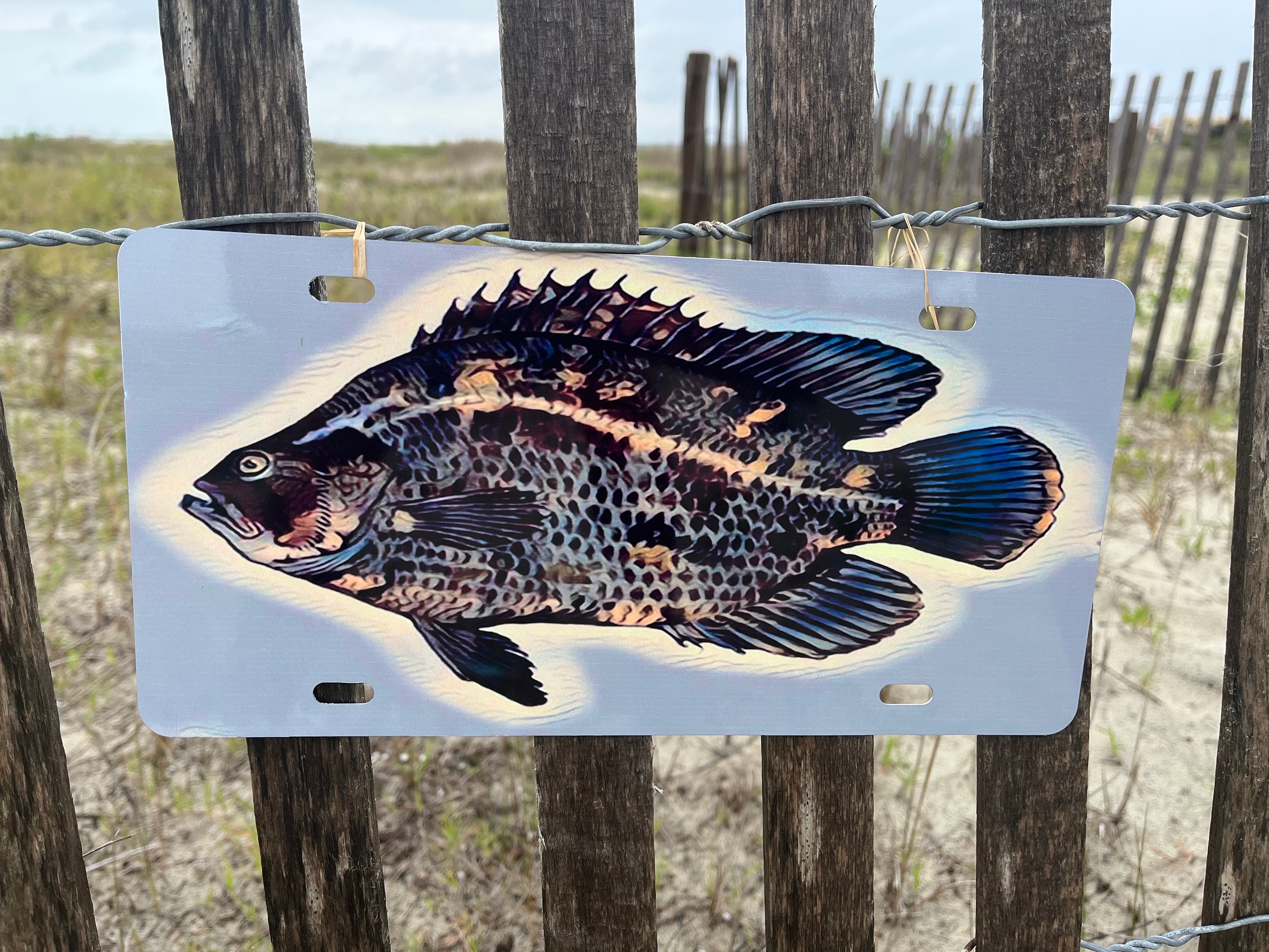 Saltwater Fish License Plate, Trout, Redfish , Triple Tail Tarpon, Sailfish , Mahi Mahi License