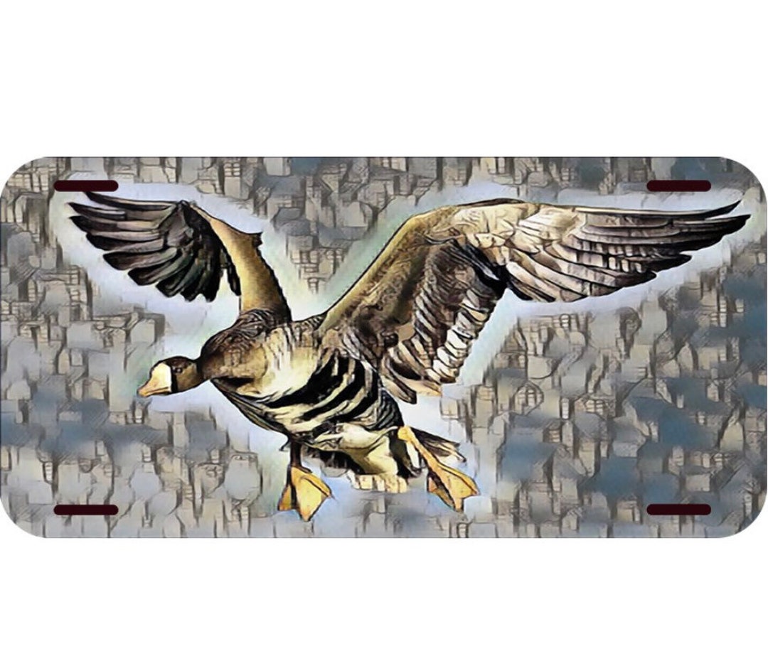Specklebelly Goose License Plate, Waterfowl, Specklebelly Goose Car