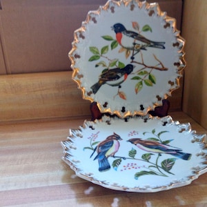 Paar Chinese handgeschilderde decoratieve borden met vogelmotief van Betson.