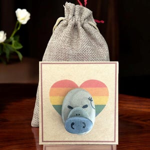 Cartão de coração LGBTQ arco-íris com ímã de hipopótamo de pedra pintado à mão inclui mensagem personalizada no verso do cartão. Lembrança de orgulho LGBTQ para amantes de hipopótamos
