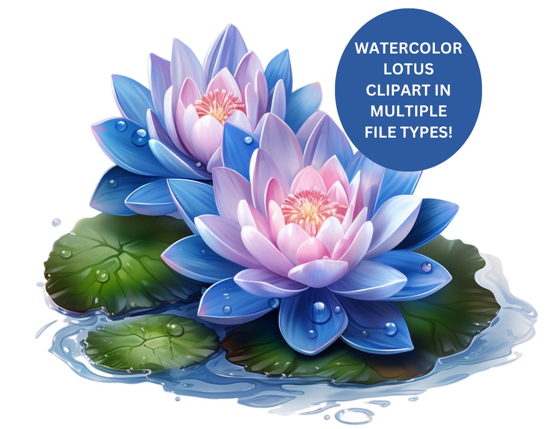 Watercolor Lotus Flower Colorful Clipart Sacred Lotus Clipart for